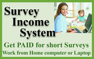 Click here to see the Survey Income System